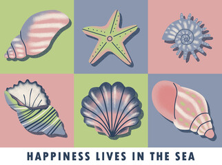 set of sea shells