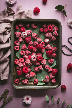Frozen raspberries on tray with floral accents and cloth