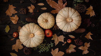Autumn Harvest Arrangement with Pumpkins and Pine cones