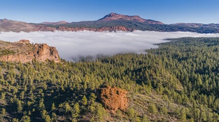 Fototapeta premium Aerial view of mountain range with clouds and pine forest.
