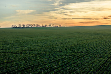 An extraordinarily beautiful sunset, a magical landscape on a green plain.