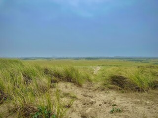 Scenic sand dunes covered in lush marram grass leading to an open coastal marshland in Authie Bay near Berck, France, under a misty sky, creating a tranquil and atmospheric landscape