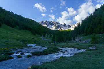 Fototapeta premium paysages des alpes