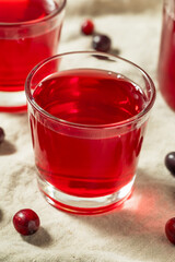 Cold Refreshing Healthy Cranberry Juice