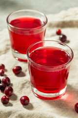 Cold Refreshing Healthy Cranberry Juice