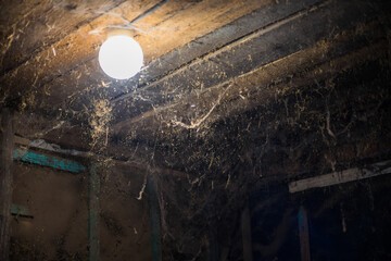 Web on the ceiling of the old barn. Numerous cobwebs are hanging from the wooden beams of an old, abandoned barn, illuminated by a single light bulb, creating a spooky and eerie atmosphere.