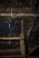 Cobwebs hang from the ceiling of a barn. Hanging cobwebs fill the old abandoned barn, collecting dust and debris, creating an eerie, abandoned atmosphere that evokes a sense of desolation and decay.