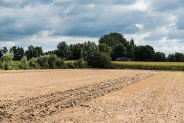 Harvested golden wheat fields at the Flemish countryside in Sint Amands, Belgium
