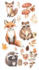 Fototapeta premium Charming forest animal illustrations.