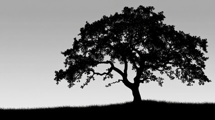 Obraz premium Lone tree silhouette at dawn, grassy hill, peaceful sky. Nature, backdrop