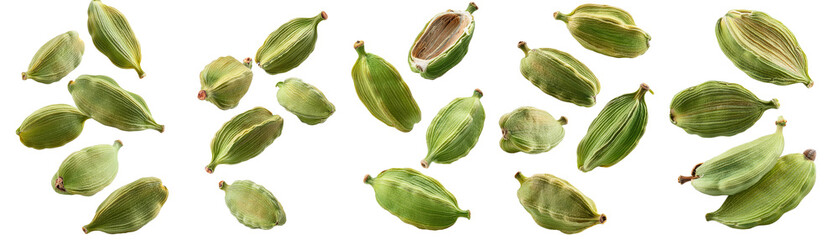 Green cardamom pods falling on transparent background