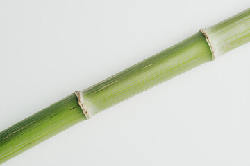 Fototapeta premium Green Bamboo Stem: A close-up of a single green bamboo stem, highlighting its intricate node structure, symbolizing resilience, growth, and natural beauty.
