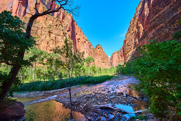 Zion Canyon River and Red Cliffs Tranquil Eye-Level View