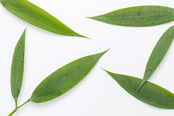 Green Bamboo Leaves Arrangement:  A minimalist and elegant composition featuring fresh green bamboo leaves arranged in a symmetrical pattern.