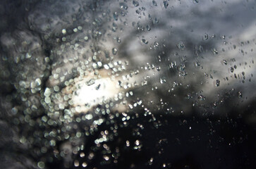 rain drops on window