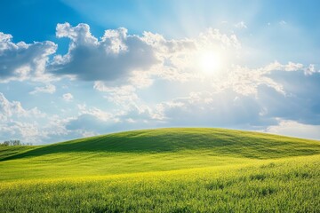 Fototapeta premium Stunning Green Field Under a Sunny Sky