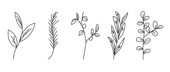 Twigs and leaves icon set. Botanical floral set in line style. Herbs, twigs, branches, flowers and leaves vector illustraton in transparent background.