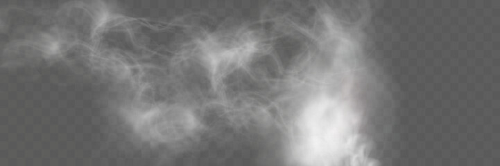 Realistic white smoke or mist effect with soft, swirling patterns on a transparent background. Perfect for overlays and atmospheric designs.
