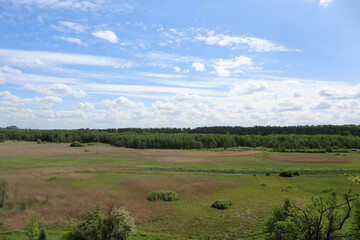 Panorama of the lowlands through which the river flows, surrounded by dense thickets of reeds. On a...