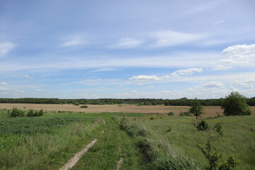 Fototapeta premium A pathway to a lowland, on the left side a field with sown green wheat.