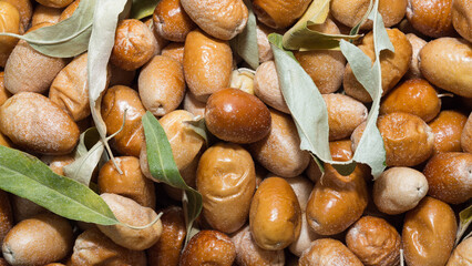 Images of various fruits. oleaster photos.