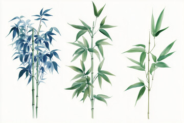Bamboo Watercolor Set: Three graceful watercolor paintings capture the beauty and tranquility of bamboo stalks, showcasing different hues of green and blue, evoking a sense of serenity and growth.  