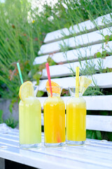Three refreshing fruit juices in glass bottles garnished with citrus slices outdoors