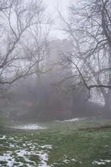 A foggy forest with trees and a large rock