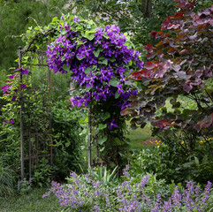 Fototapety na wymiar - Fototapeta24.pl