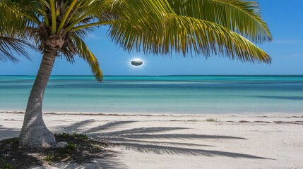 Fototapeta premium Mysterious UFO Over Tropical Beach Paradise Palm Tree