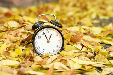 Autumn time. Alarm clock on fallen leaves, closeup