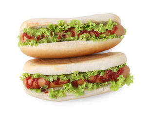 Tasty hot dogs with lettuce and ketchup isolated on white, top view