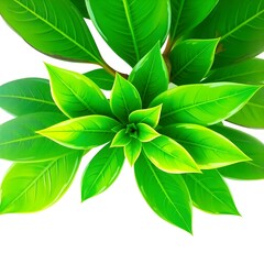 plant stem with multiple leaves