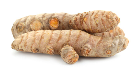 Two fresh turmeric roots isolated on white