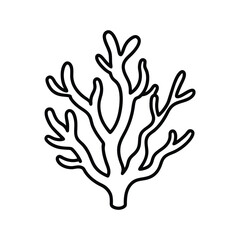 coral vector illustration line art on a white background