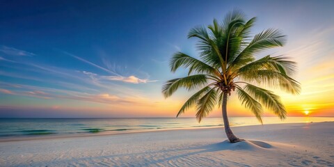 Fototapeta premium Palm tree on white sandy beach at sunrise, nature, landscape, nature, landscape, peaceful