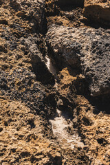 Detail of tafoni which are cavities that develop in granular rock