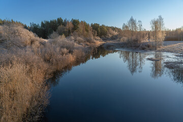 reflection of trees in the water