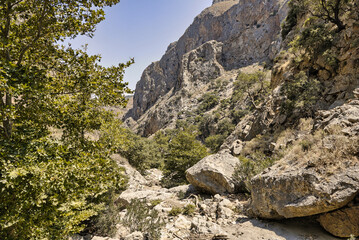 empty bed of a river that flows through a topolia gorge on the crete