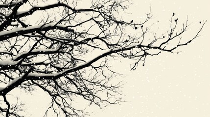 Obraz premium Snowy branches, winter tree, snowfall background, nature scene, seasonal design