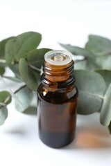 Eucalyptus essential oil in a glass bottle with green eucalyptus leaves on a white background. Aromatherapy concept. Spa. Natural organic ingredients for cosmetics and body care.