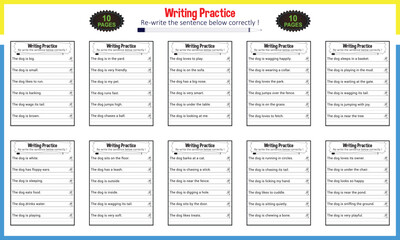Learn making sentence worksheet for children
