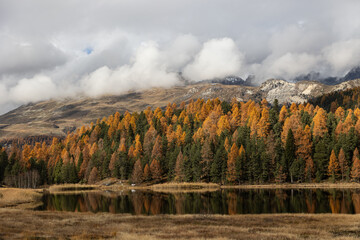 Stazersee Sankt Moritz