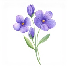 Soft purple blossoms nestling amid verdant foliage, rendering elegant watercolor botanical art