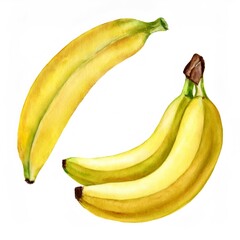 Watercolor painting depicting three ripe bananas curving together, emphasizing golden yellow tones and delicate textural details against pristine white surface