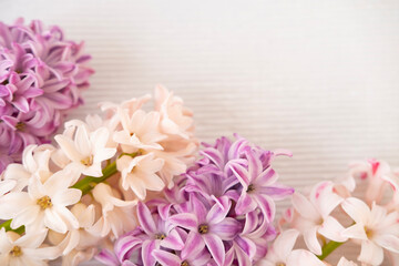 Obraz premium Springtime floral arrangement with hyacinths on natural wood texture, Spring floral background for Easter, Mother's Day, or greeting cards