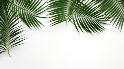 Fototapeta premium Tropical palm leaves on white background. Flat lay, top view