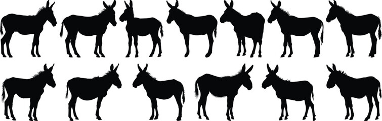 Donkey silhouette set vector design big pack of animal illustration and icon