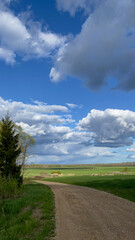 Countryside landscape. Earth road. Green. field under white fluffy clouds