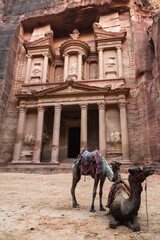 Naklejka premium A camel in front of an ancient treasury in Petra, Jordan.